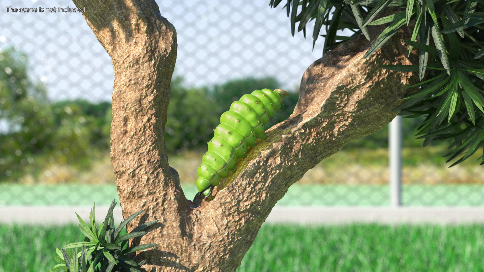 3D model Silkworm Green Rigged for Cinema 4D