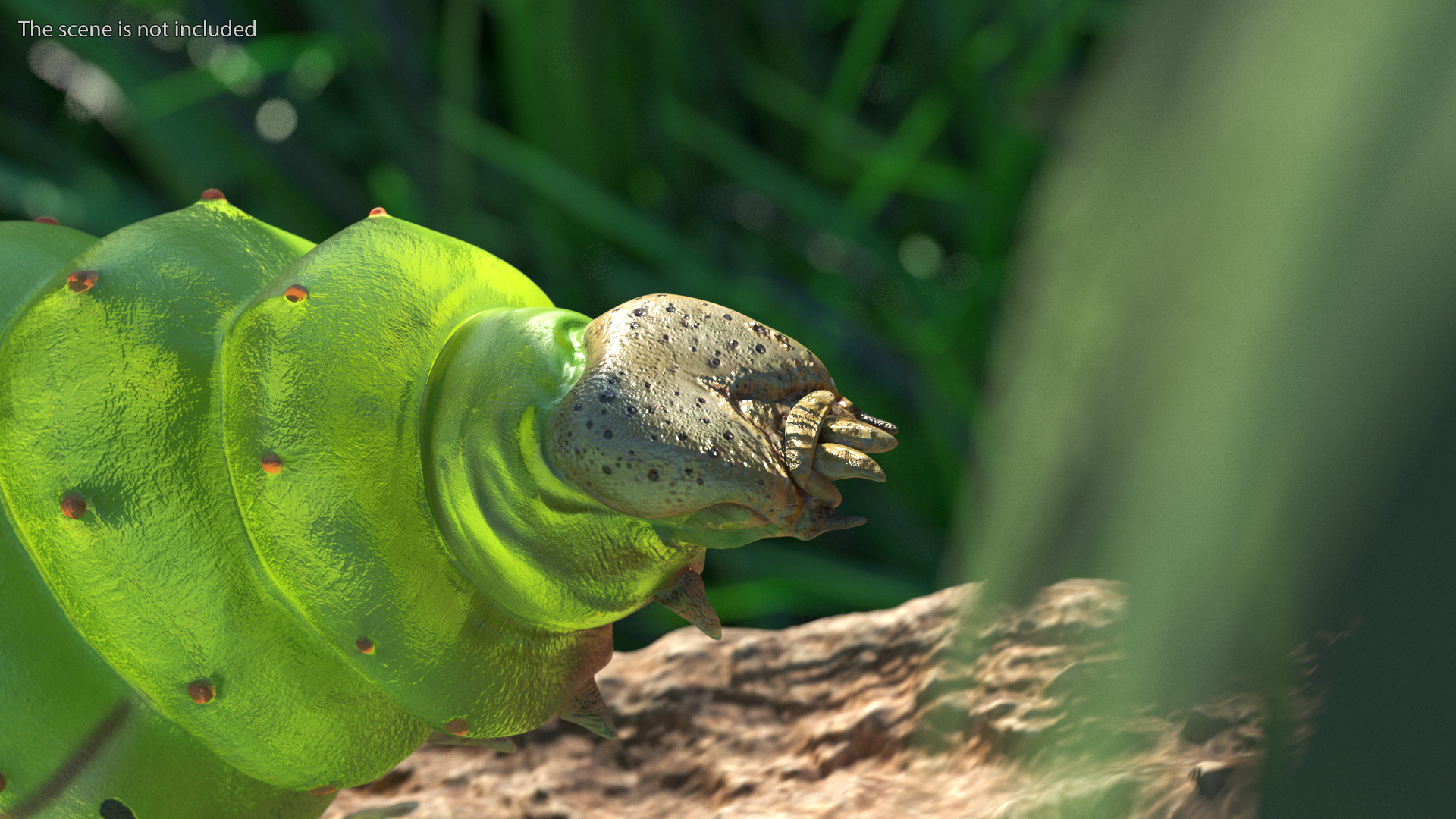 3D model Silkworm Green Rigged for Cinema 4D