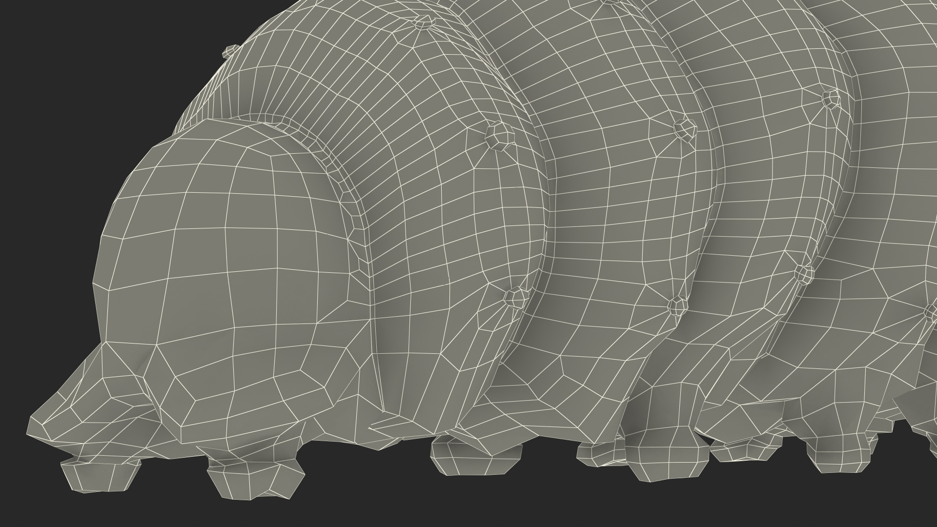 3D model Silkworm Green Rigged for Cinema 4D