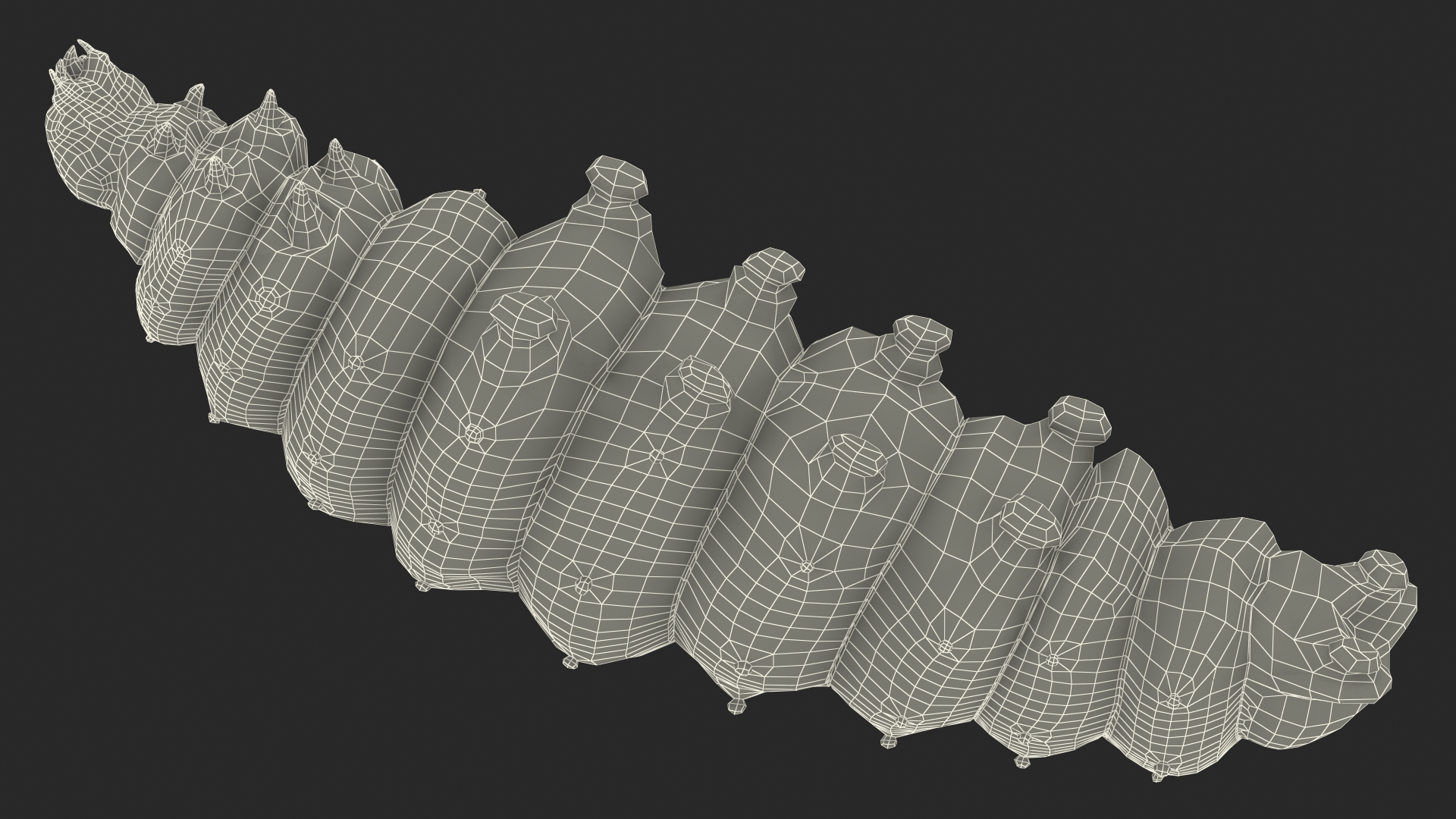 3D model Silkworm Green Rigged for Cinema 4D
