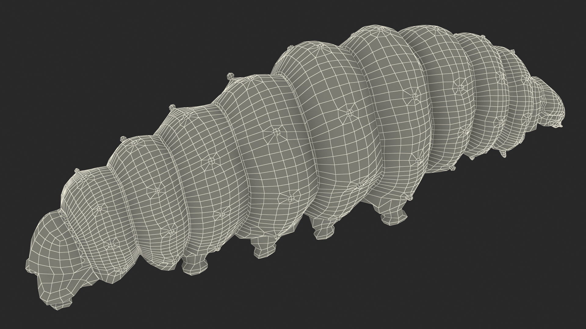 3D model Silkworm Green Rigged for Cinema 4D