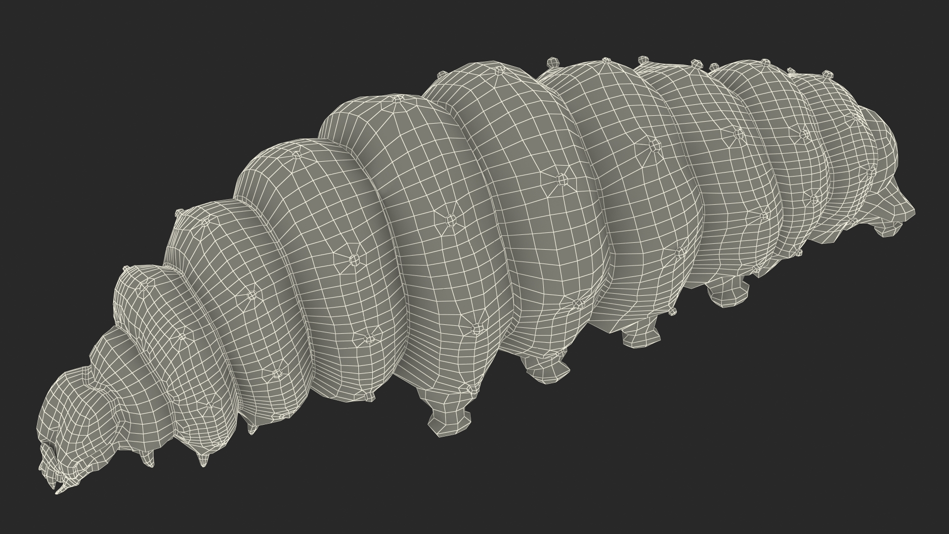 3D model Silkworm Green Rigged for Cinema 4D