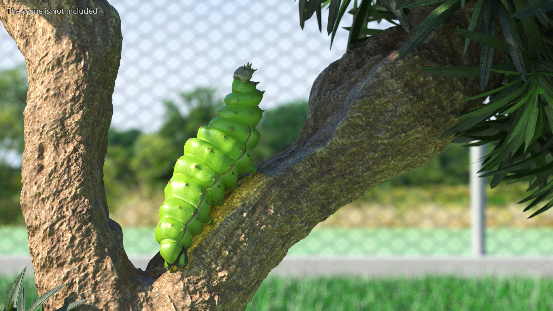 3D model Silkworm Green Rigged for Cinema 4D
