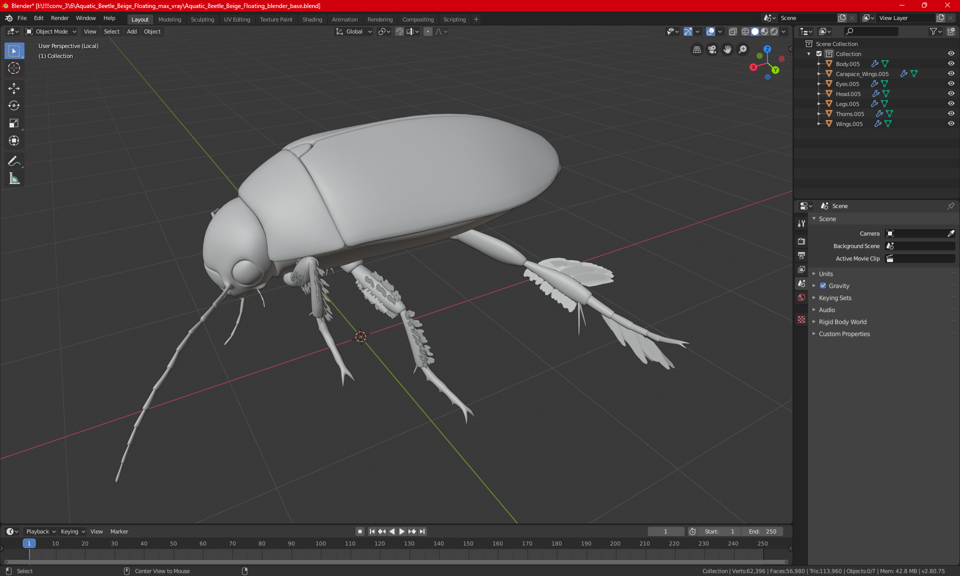 Aquatic Beetle Brown Floating 3D model