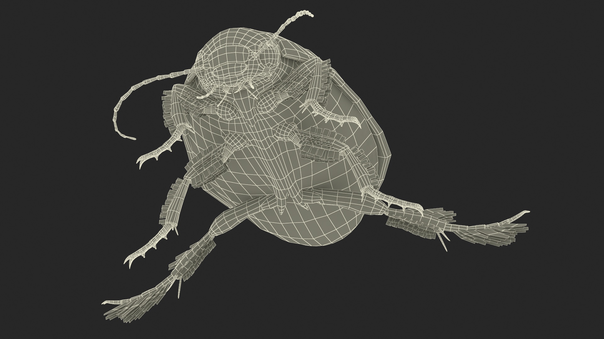 Aquatic Beetle Brown Floating 3D model
