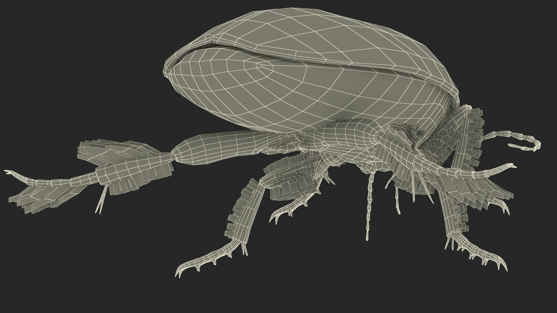 Aquatic Beetle Brown Floating 3D model