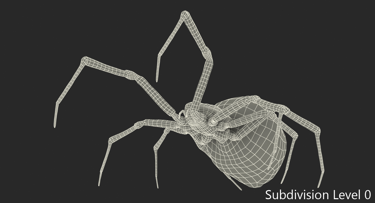 3D model Widow Spider Fighting Pose with Fur