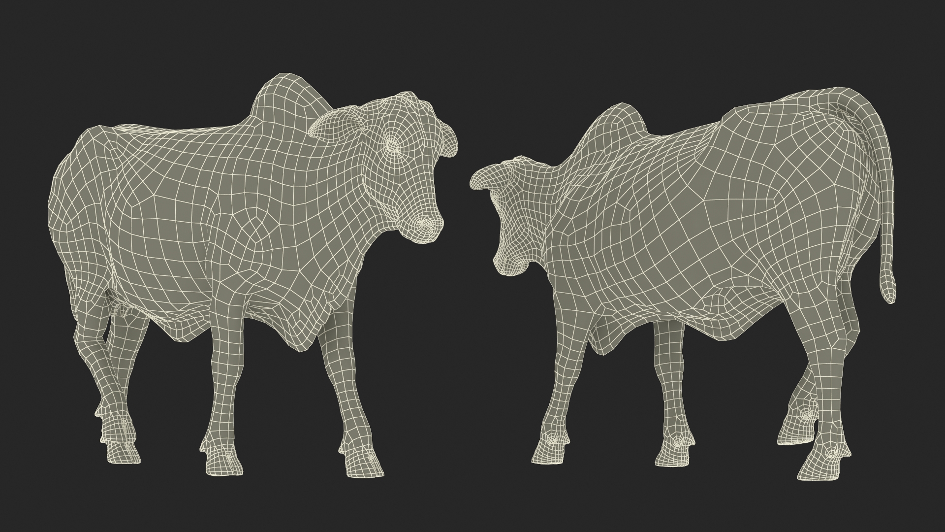 3D model Zebu Cattle Female Walking Fur