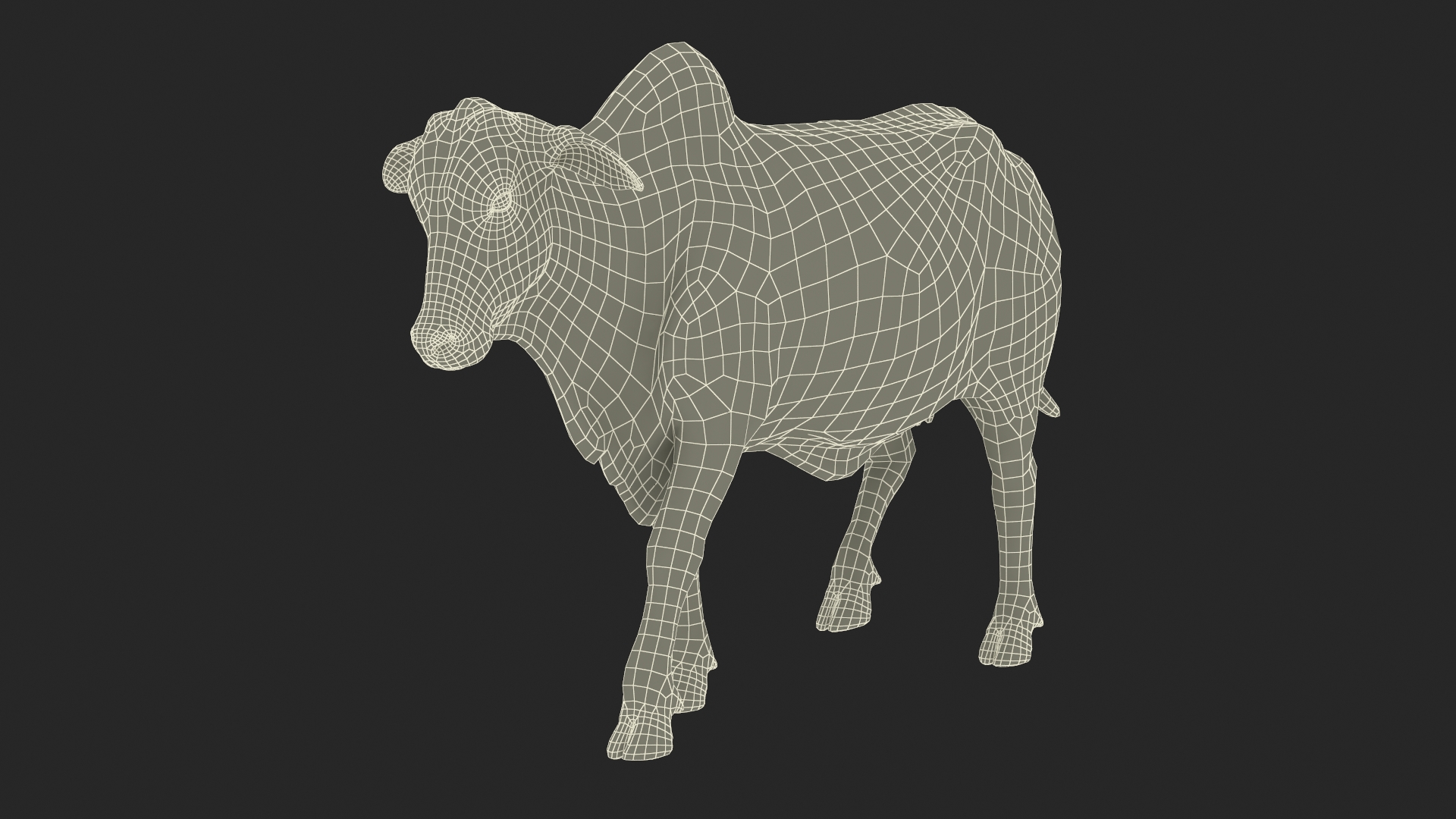 3D model Zebu Cattle Female Walking Fur