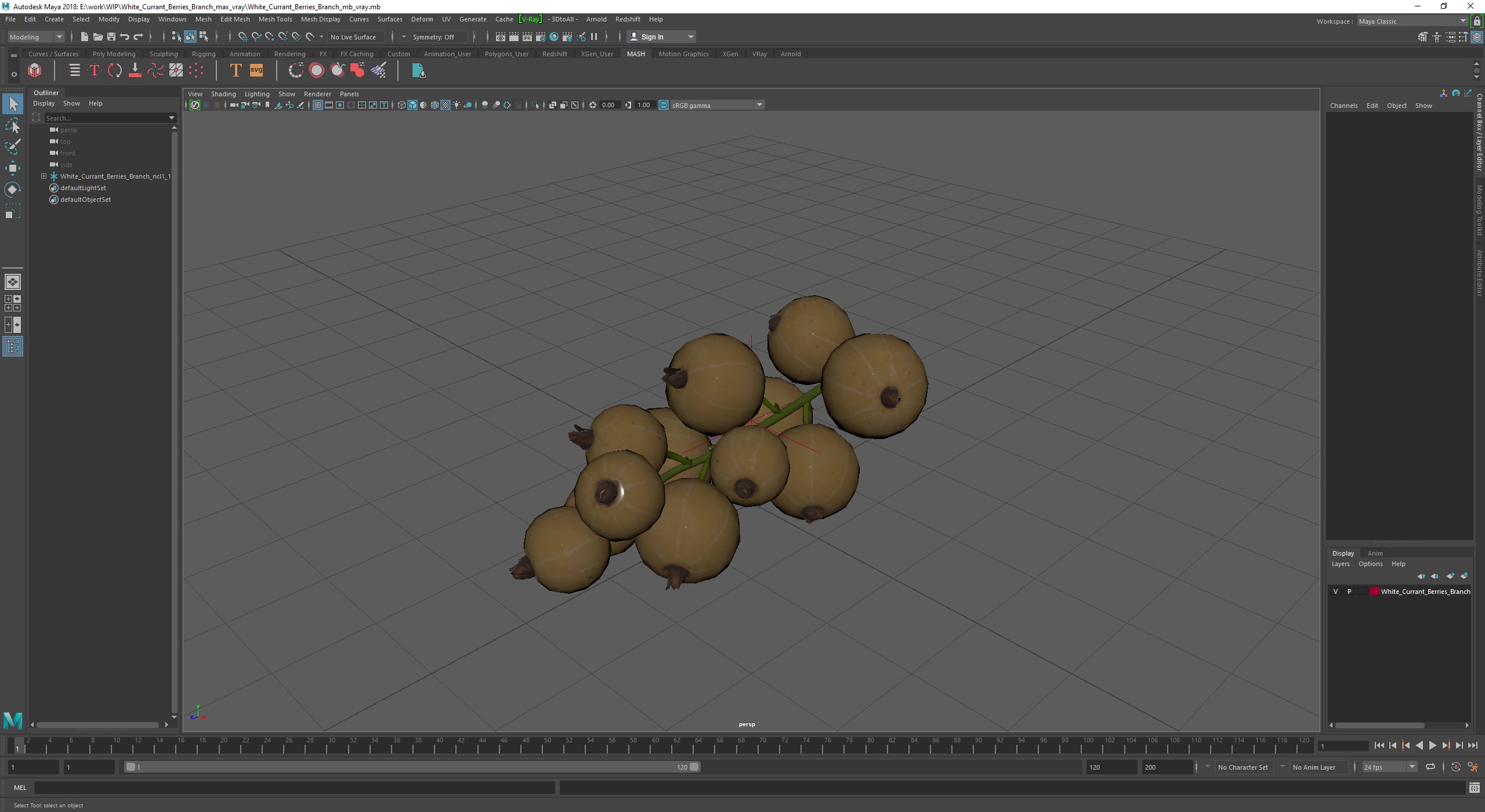 3D White Currant Berries Branch model