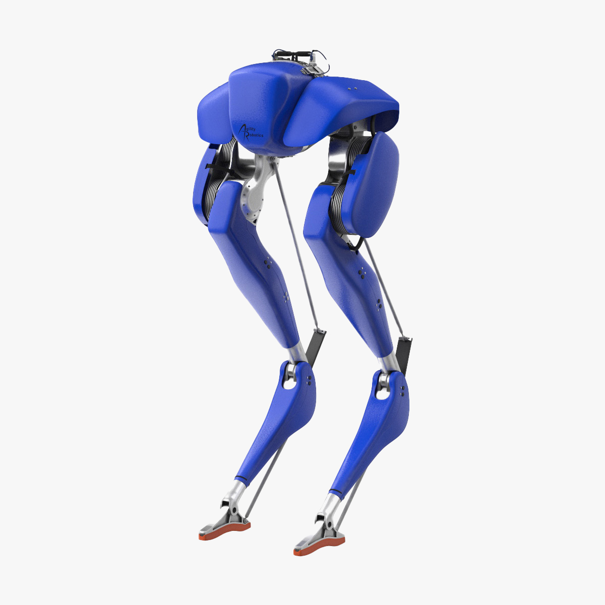 3D Cassie Robot Blue Rigged for Cinema 4D model