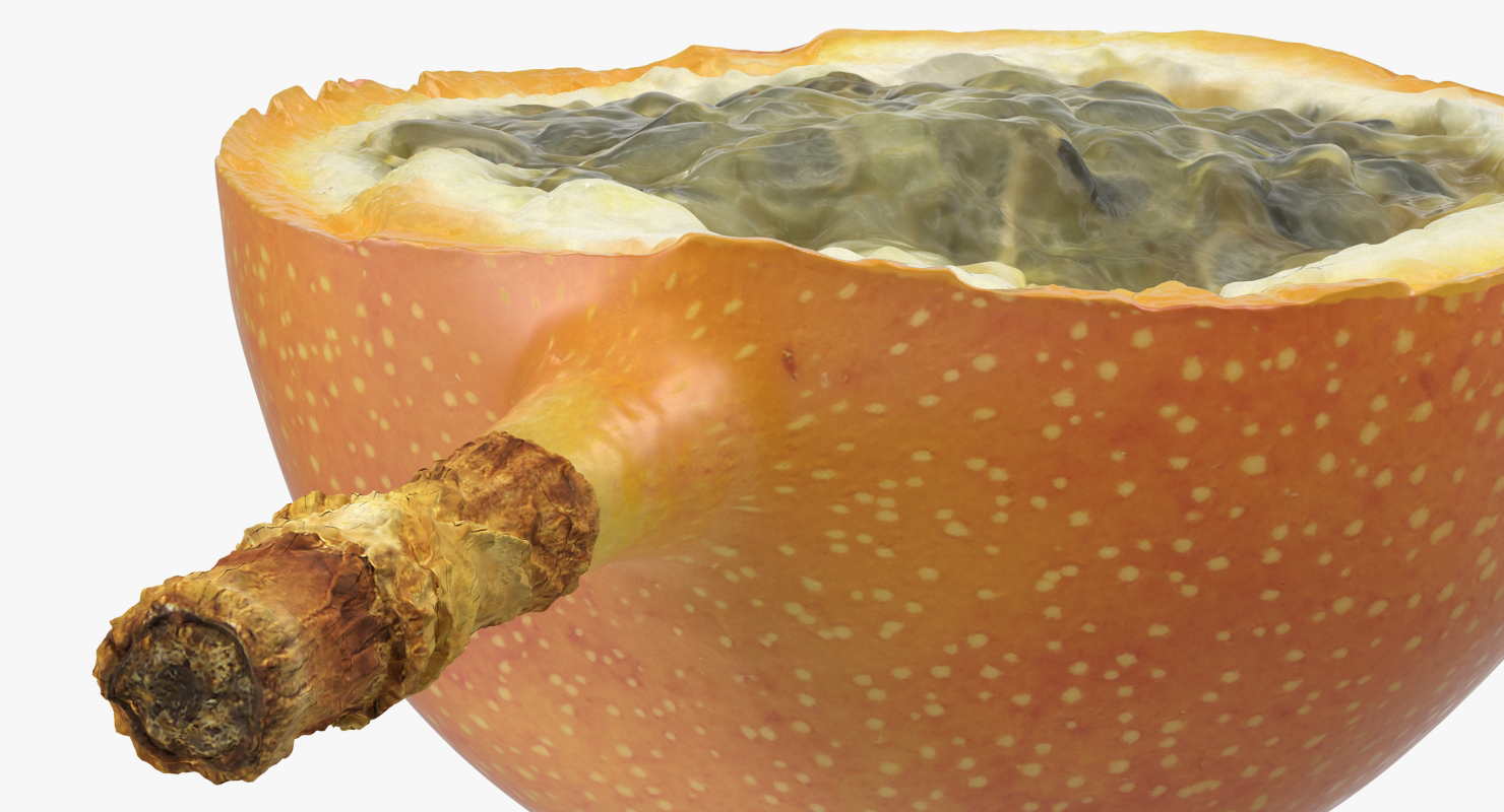 3D Granadilla Slice