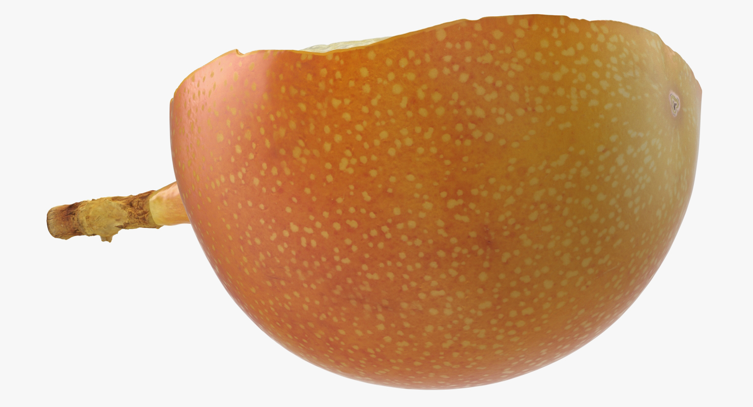3D Granadilla Slice
