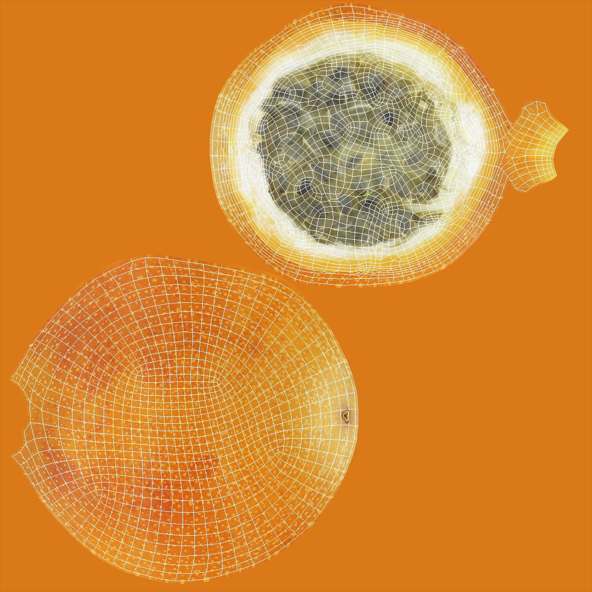 3D Granadilla Slice