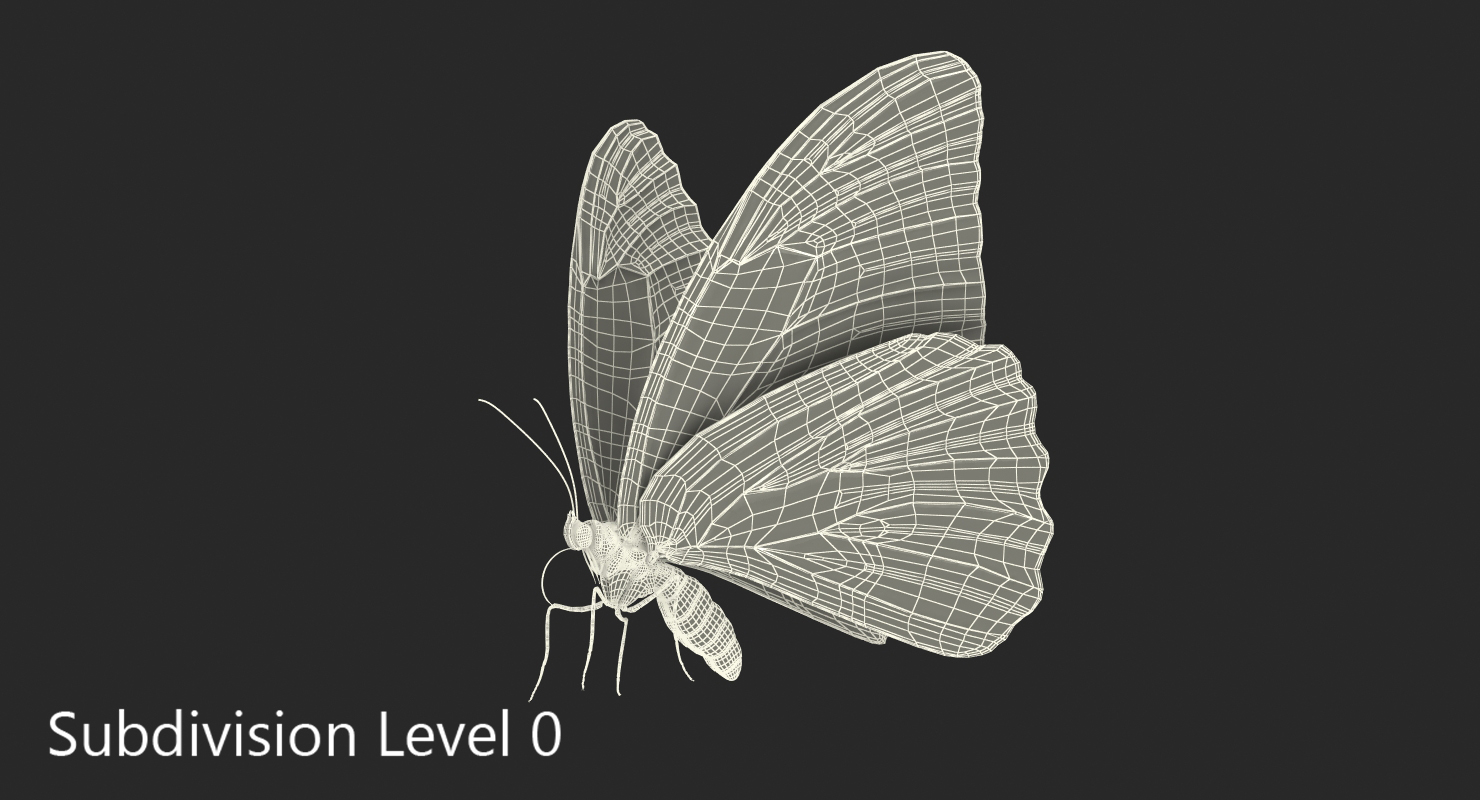Peleides Blue Morpho Butterfly with Fur 3D model