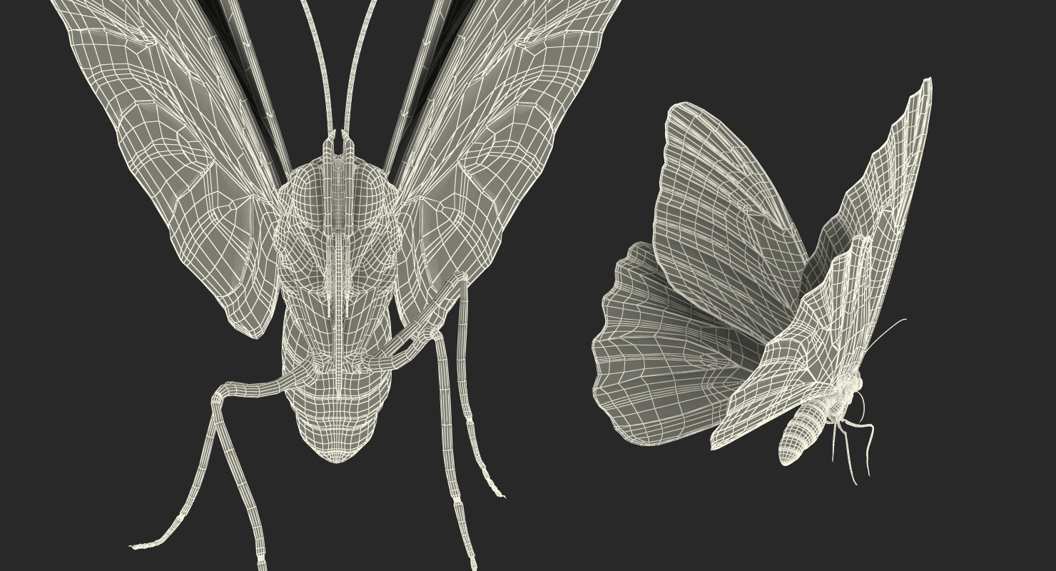 Peleides Blue Morpho Butterfly with Fur 3D model