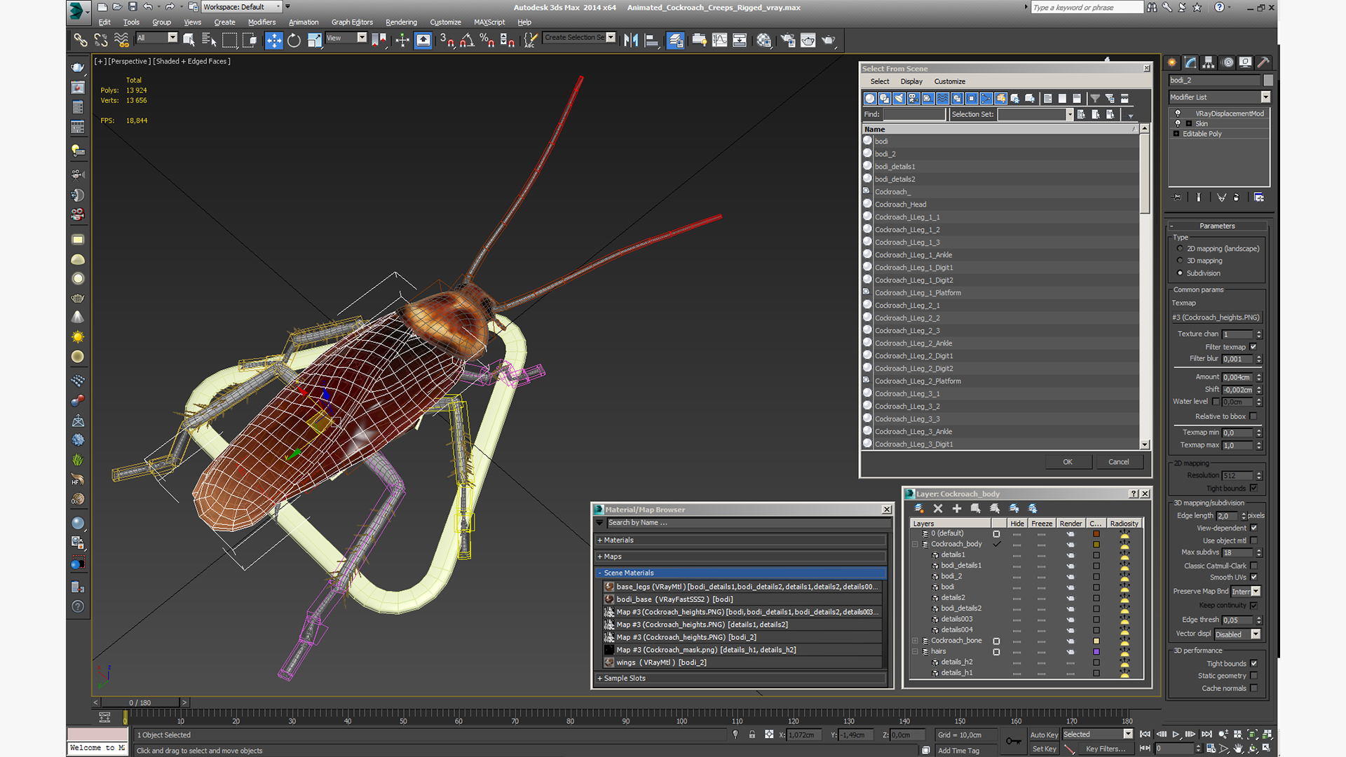 Animated Cockroach Creeps Rigged 3D