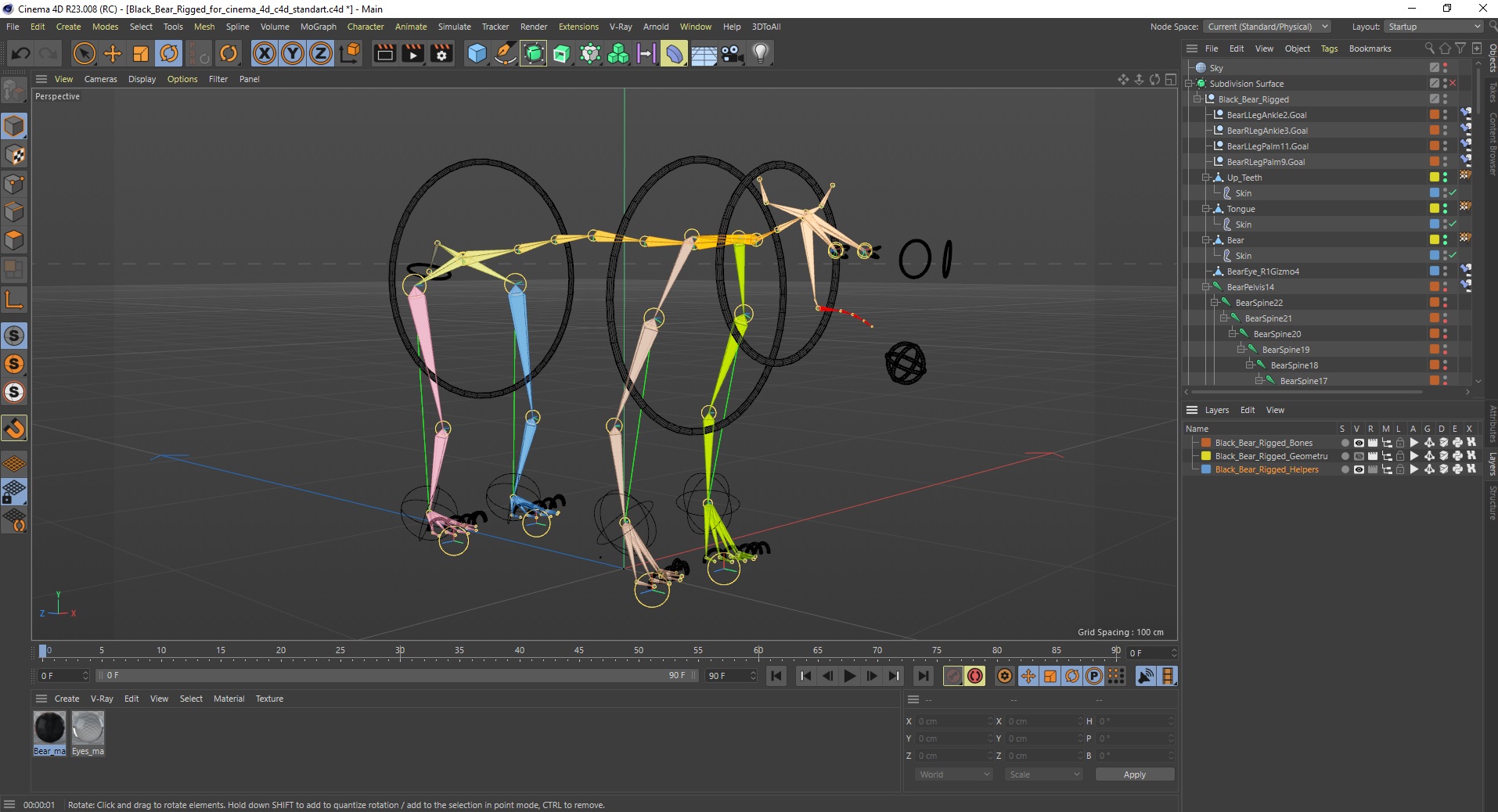 3D Black Bear Rigged for Cinema 4D