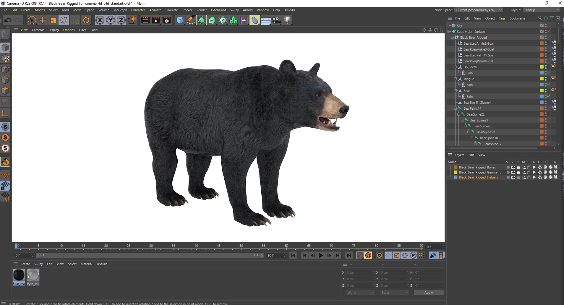 3D Black Bear Rigged for Cinema 4D
