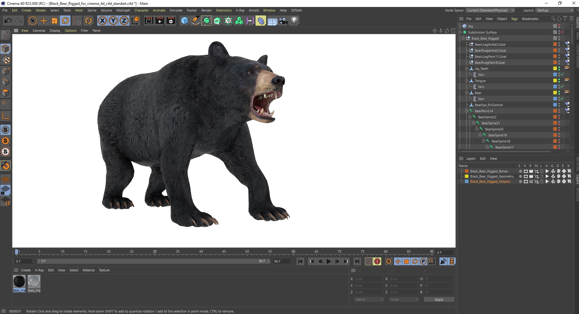 3D Black Bear Rigged for Cinema 4D