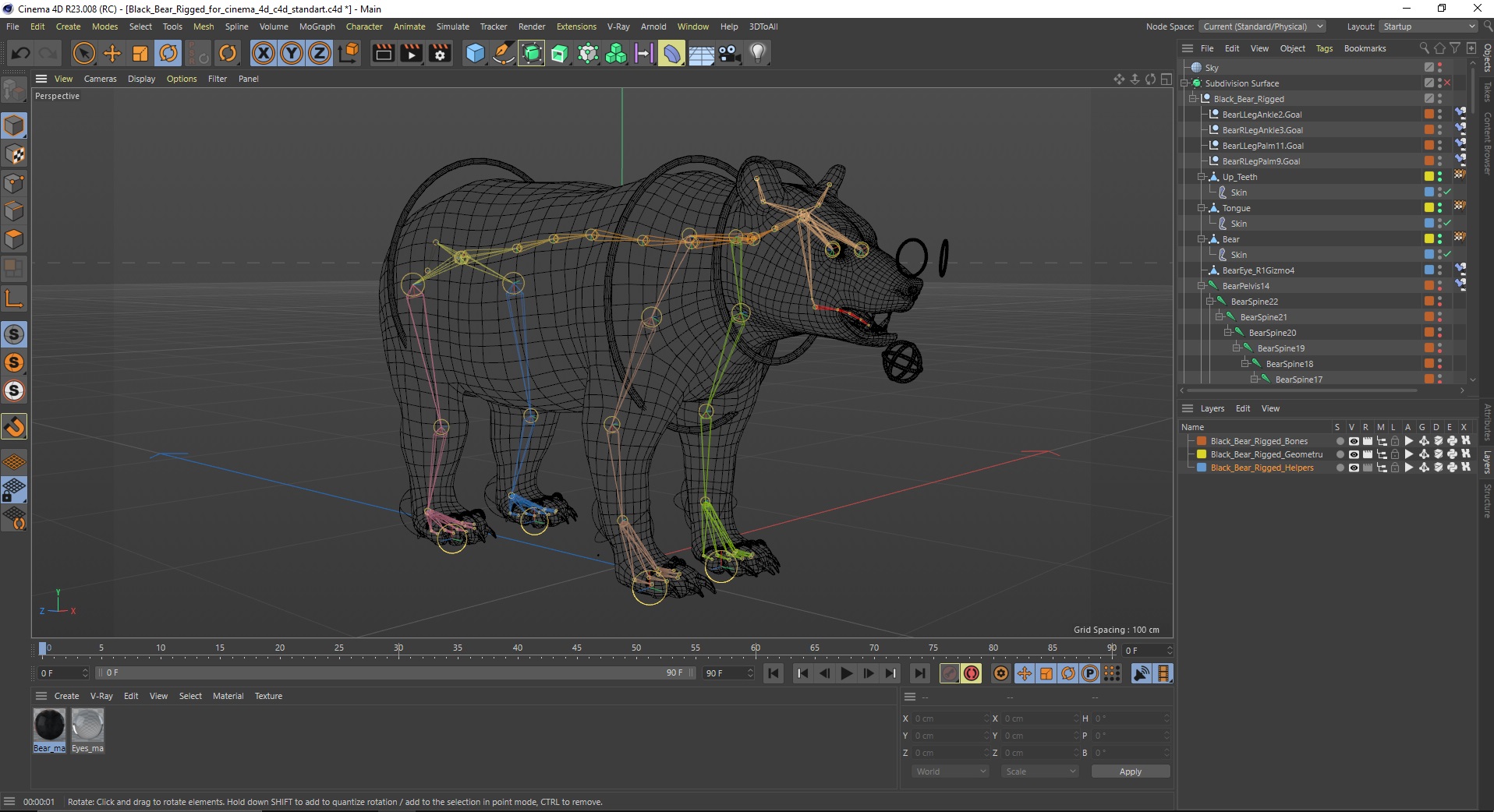 3D Black Bear Rigged for Cinema 4D
