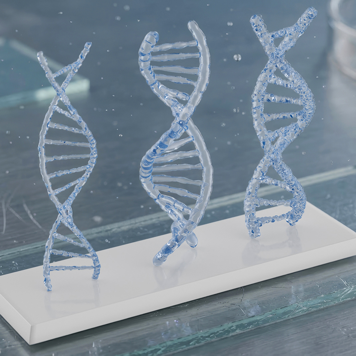 DNA Double Helix Models with Display Stand Blue 3D model preview