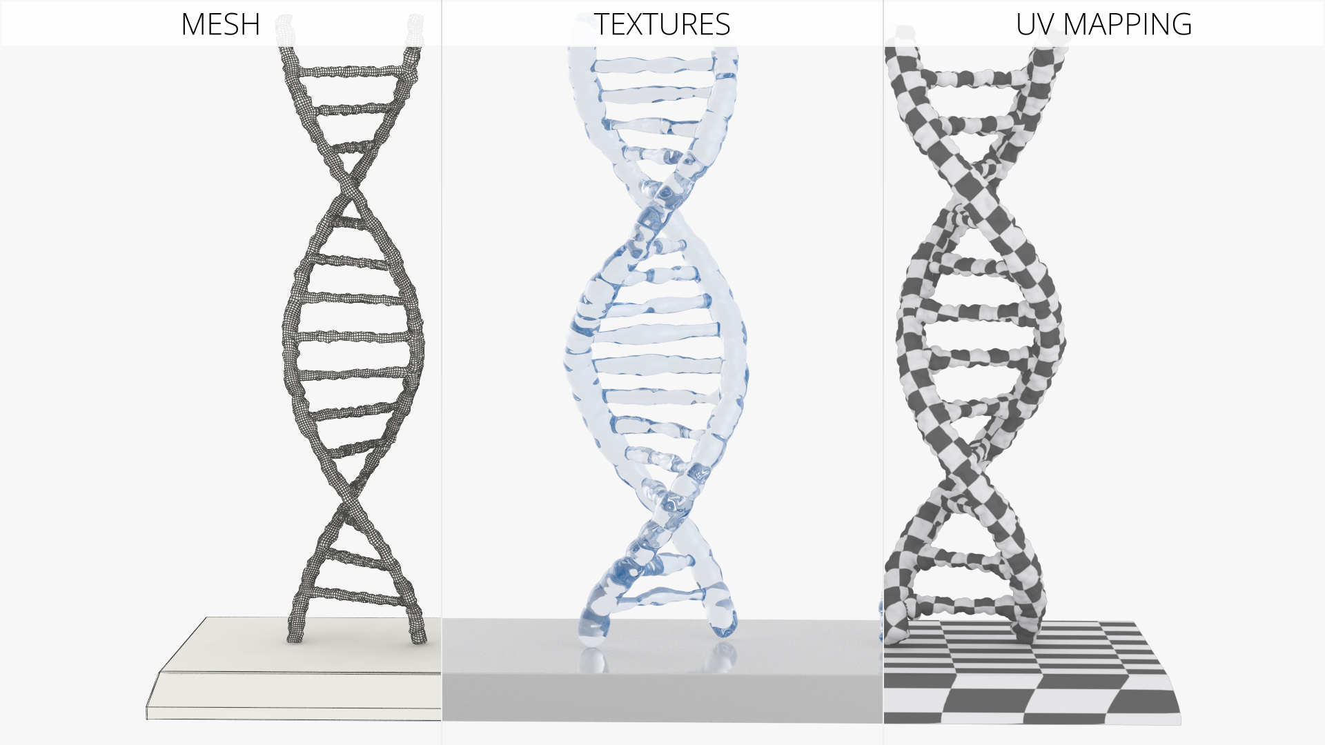 DNA Double Helix Models with Display Stand Blue, view 8