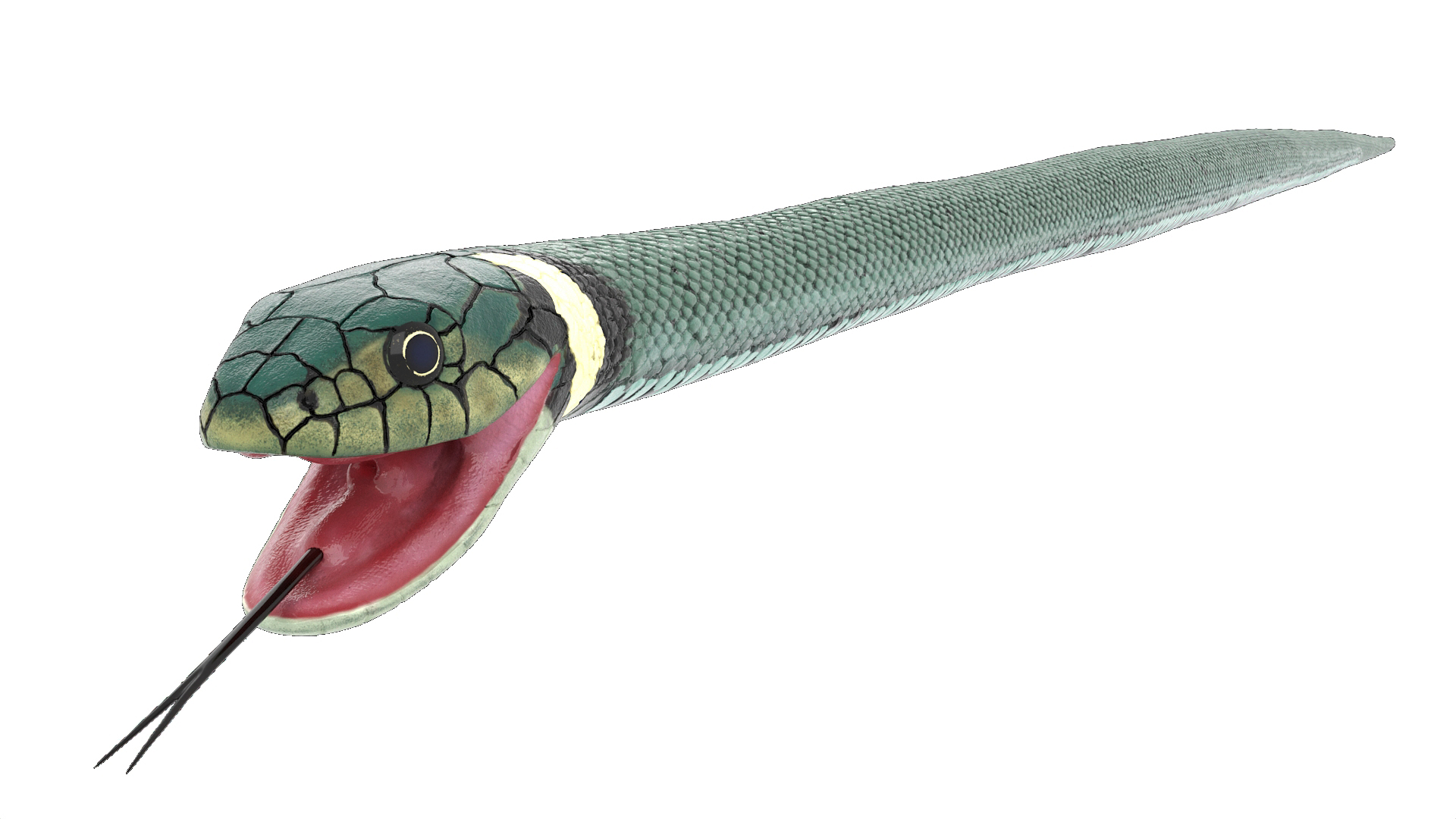 3D Eurasian Grass Snake Green