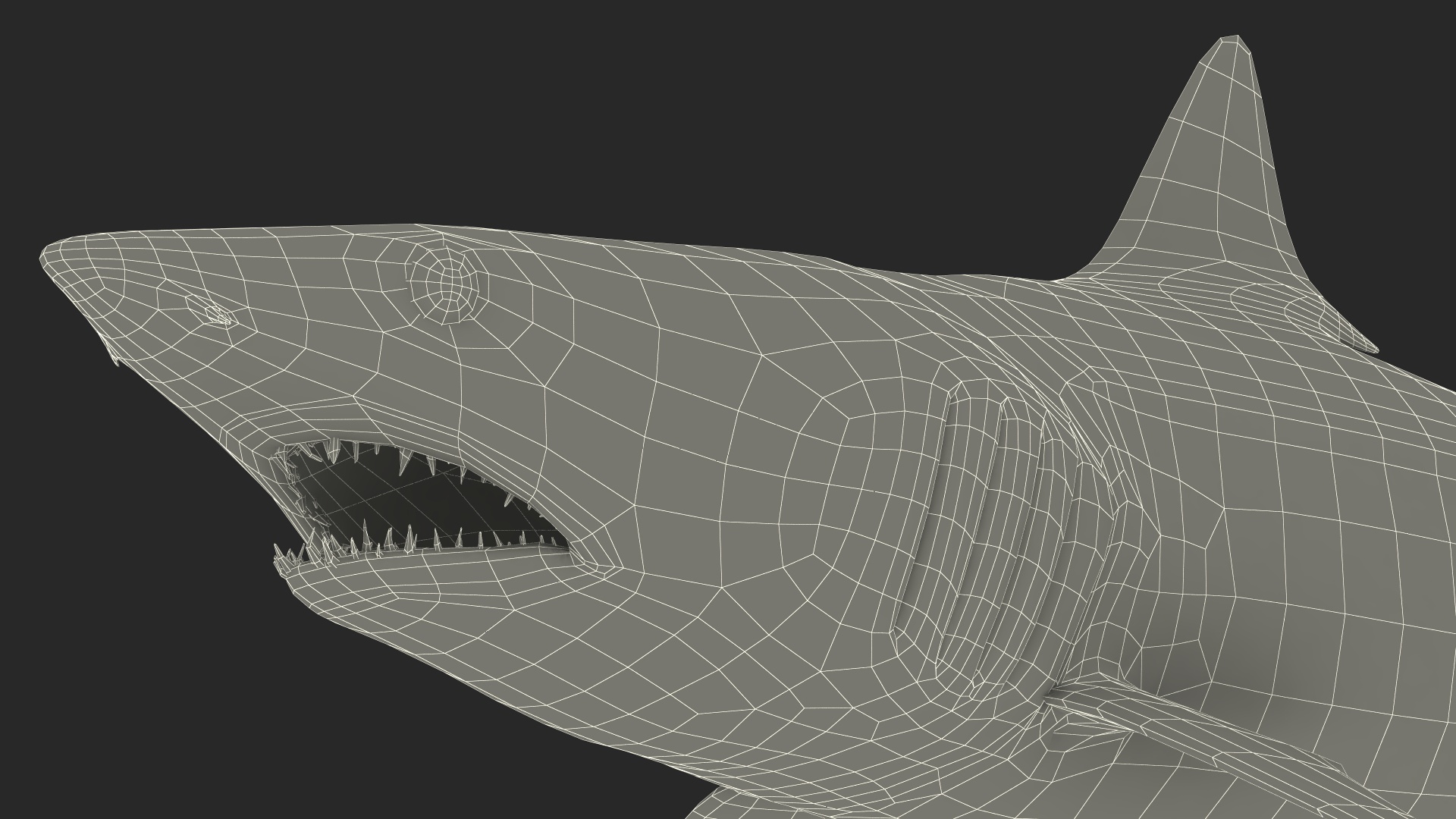 3D Isurus Oxyrinchus Shark model
