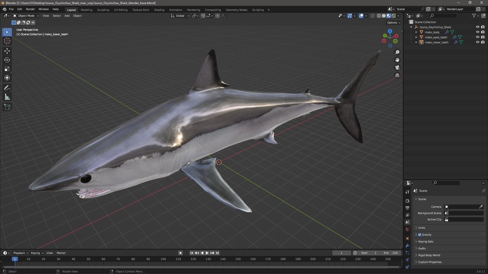 3D Isurus Oxyrinchus Shark model