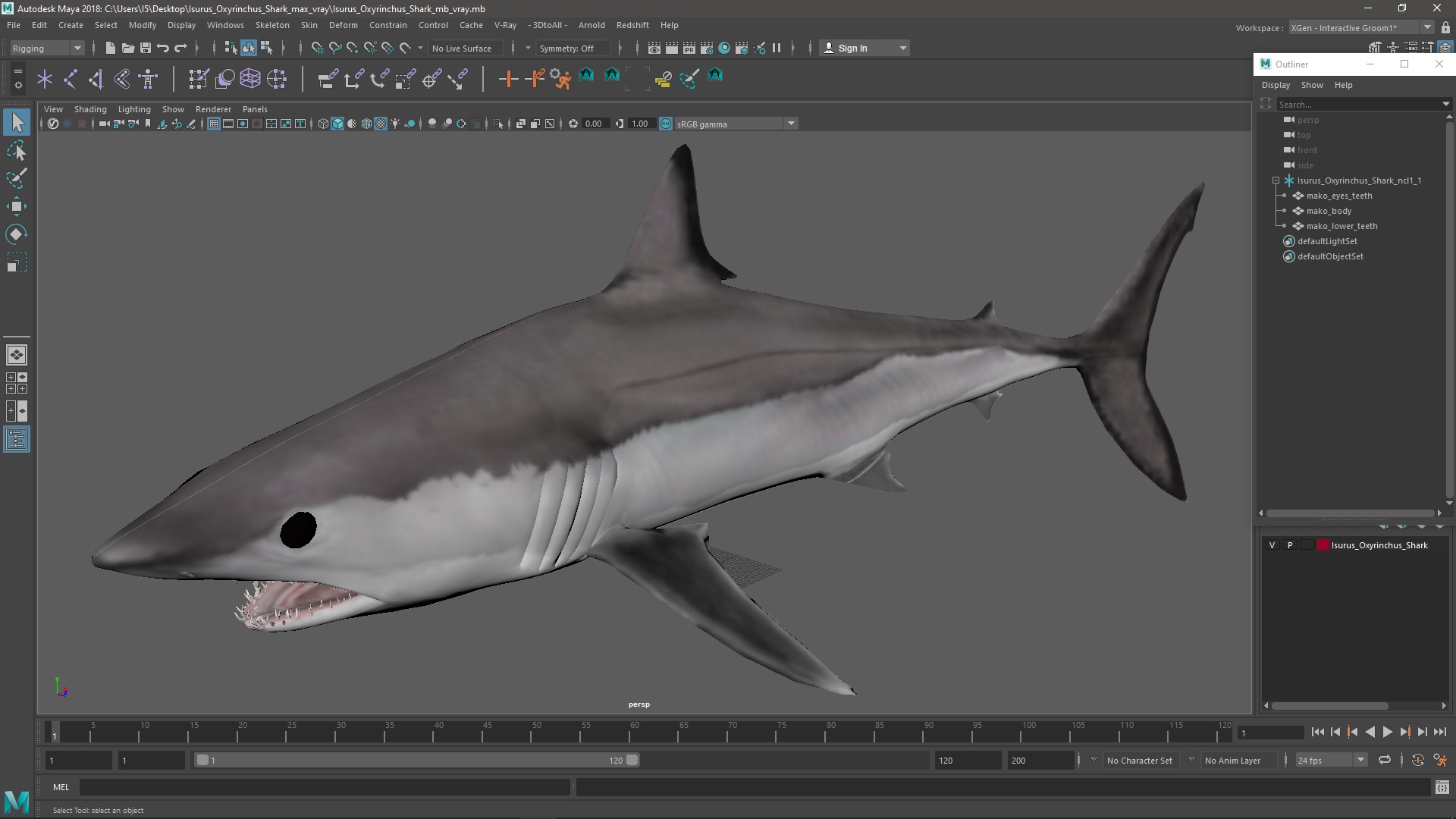 3D Isurus Oxyrinchus Shark model