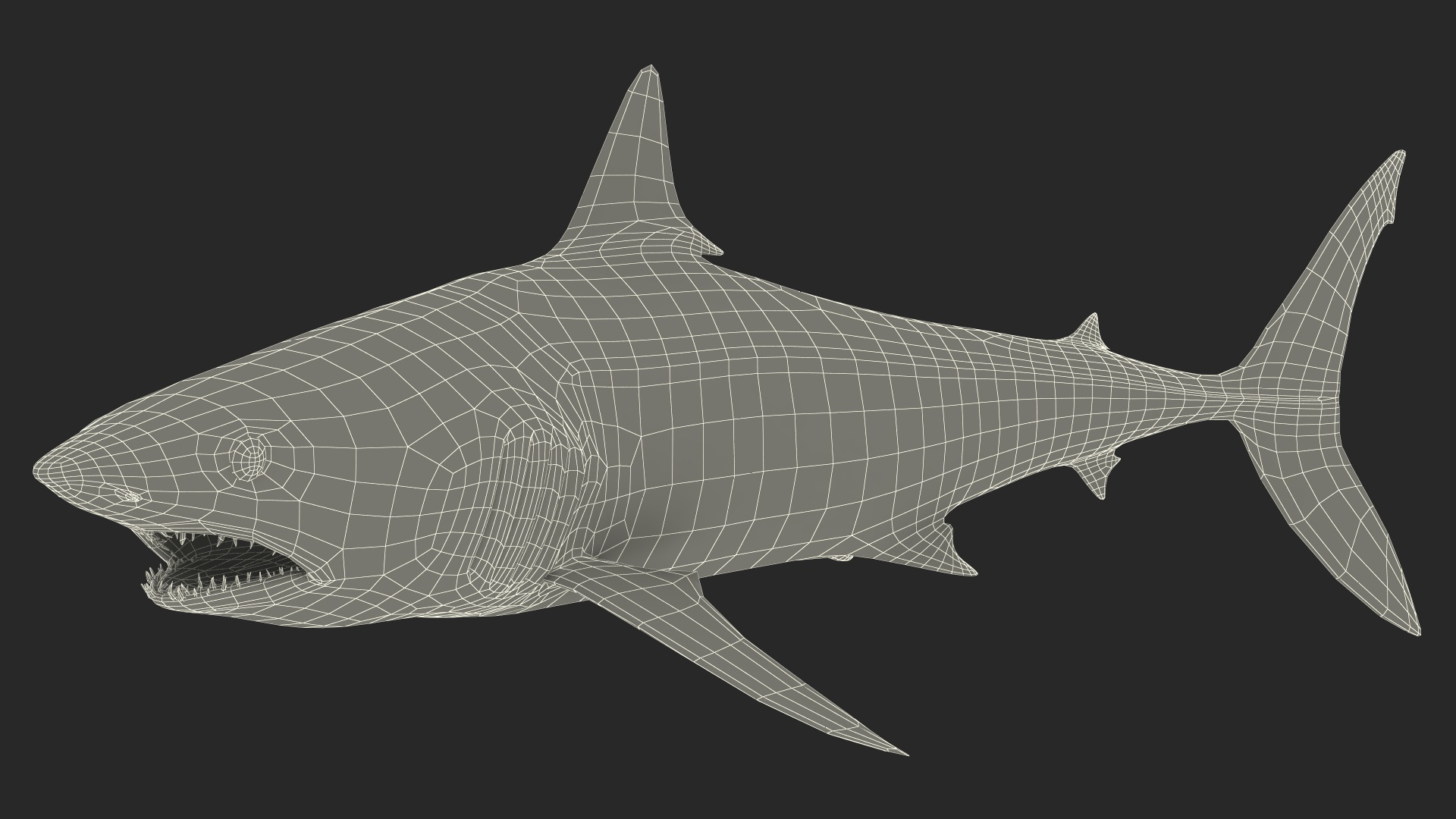 3D Isurus Oxyrinchus Shark model