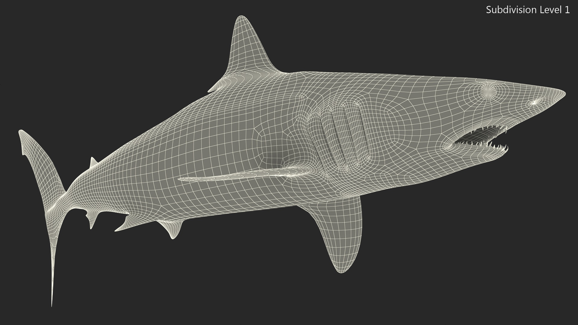 3D Isurus Oxyrinchus Shark model