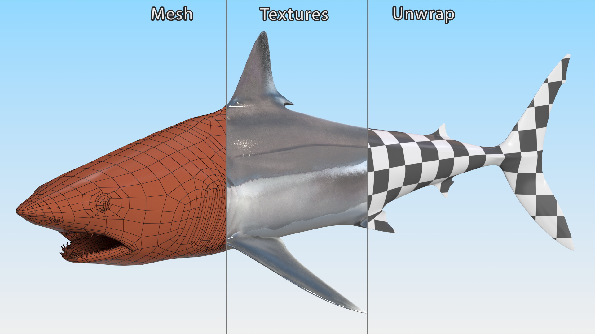 3D Isurus Oxyrinchus Shark model