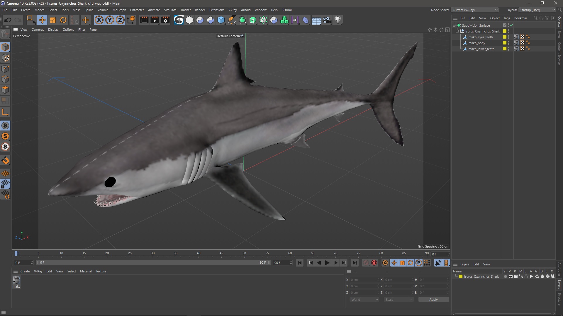 3D Isurus Oxyrinchus Shark model