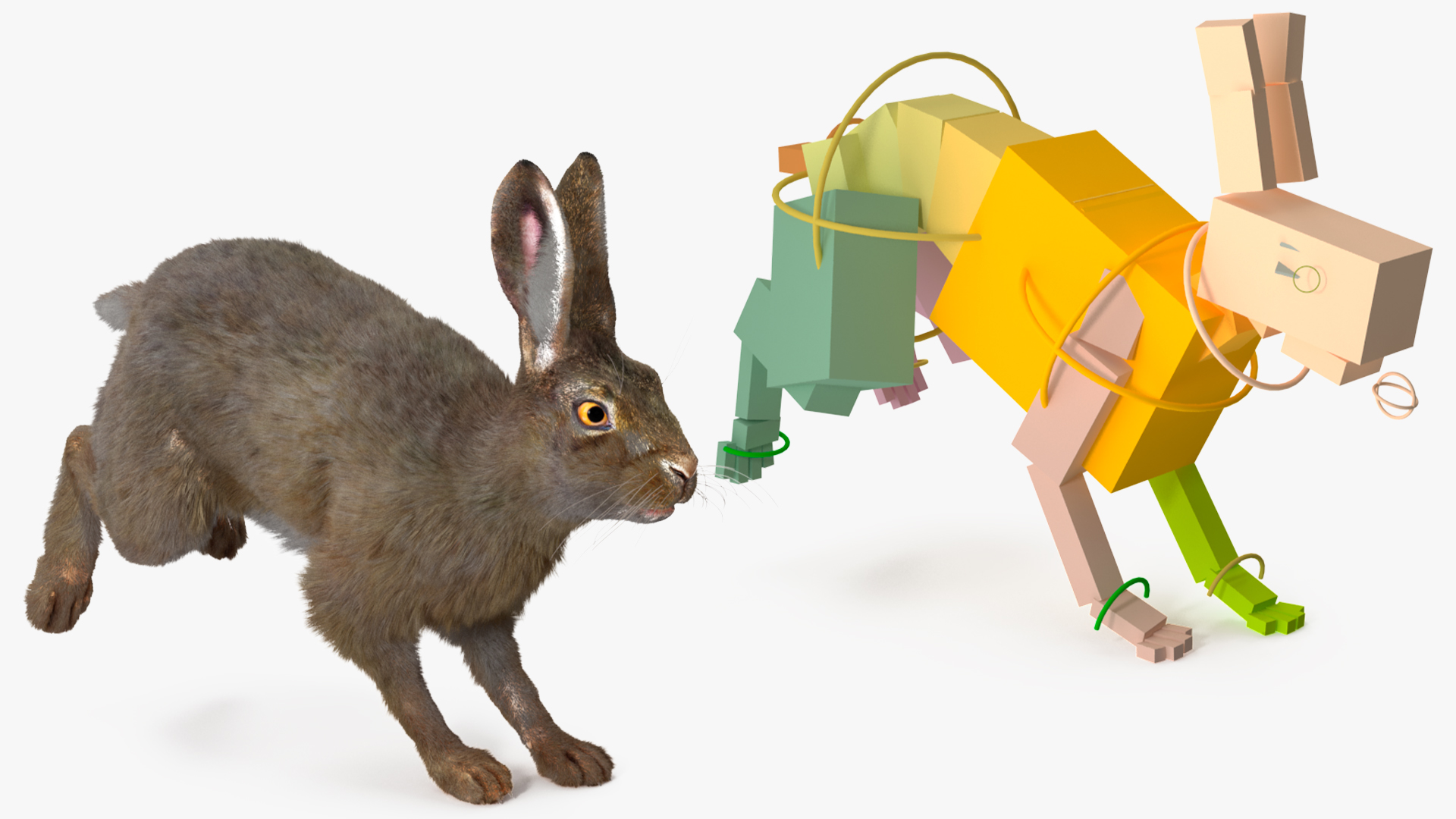 Hare with Fur Animated 3D