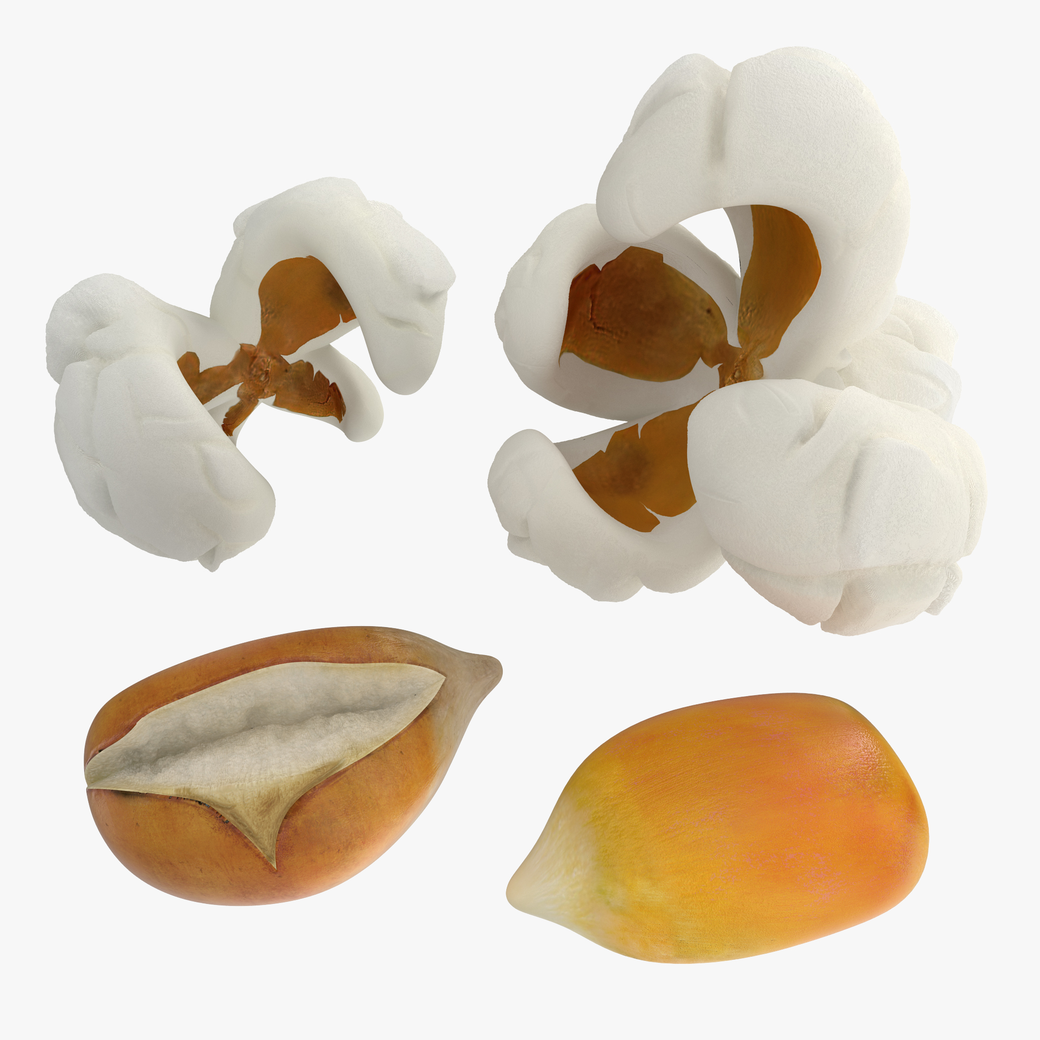 Popcorn Evolution Set, view 3
