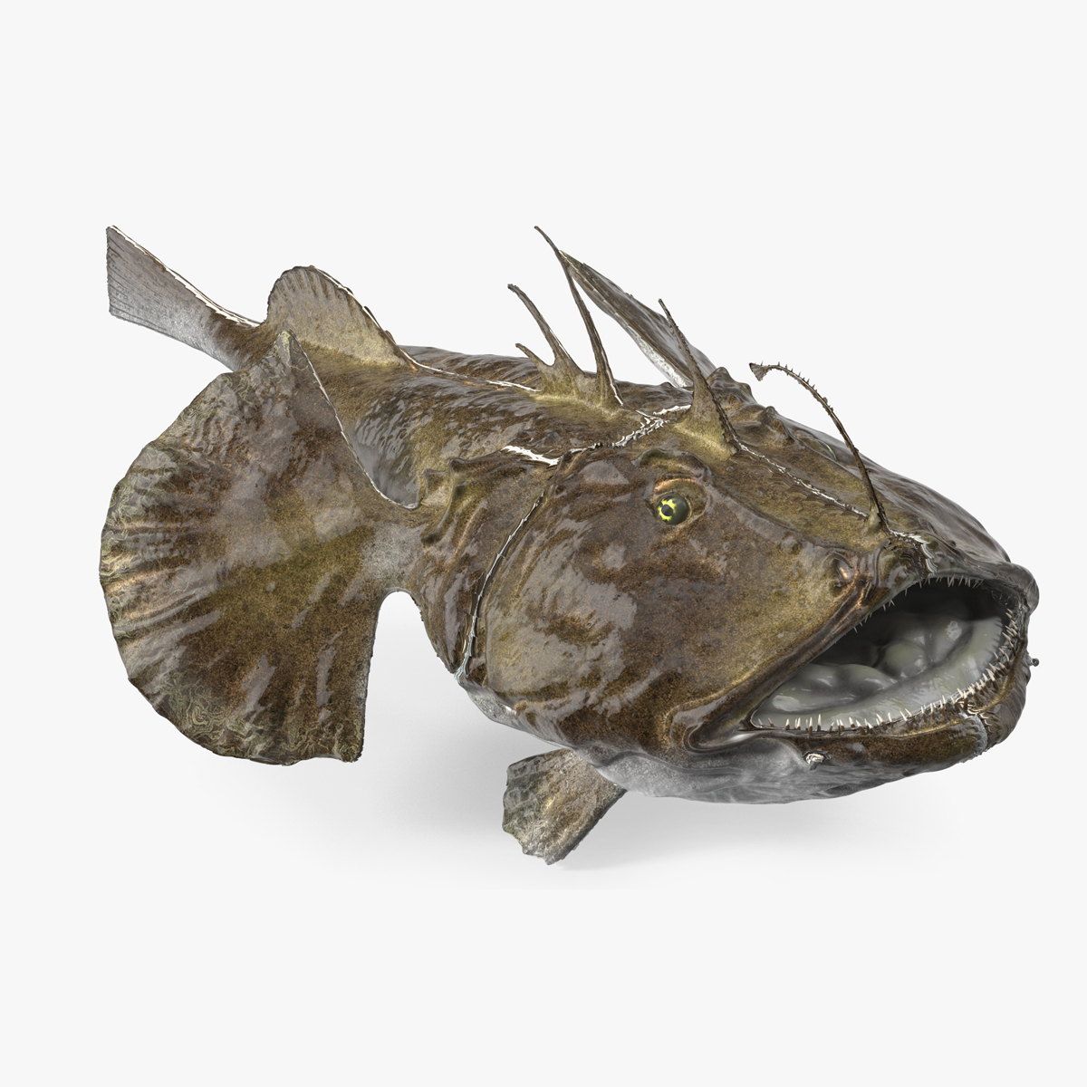 Angler Rigged for Maya 3D
