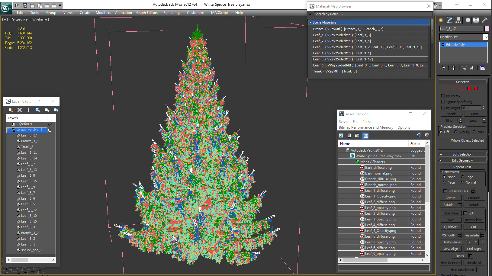 White Spruce Tree 3D