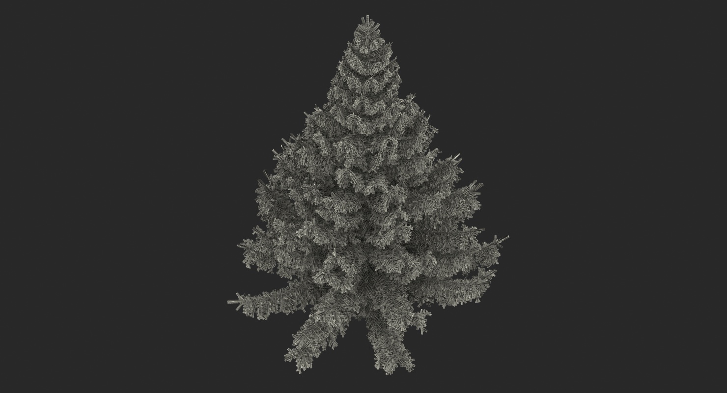 White Spruce Tree 3D