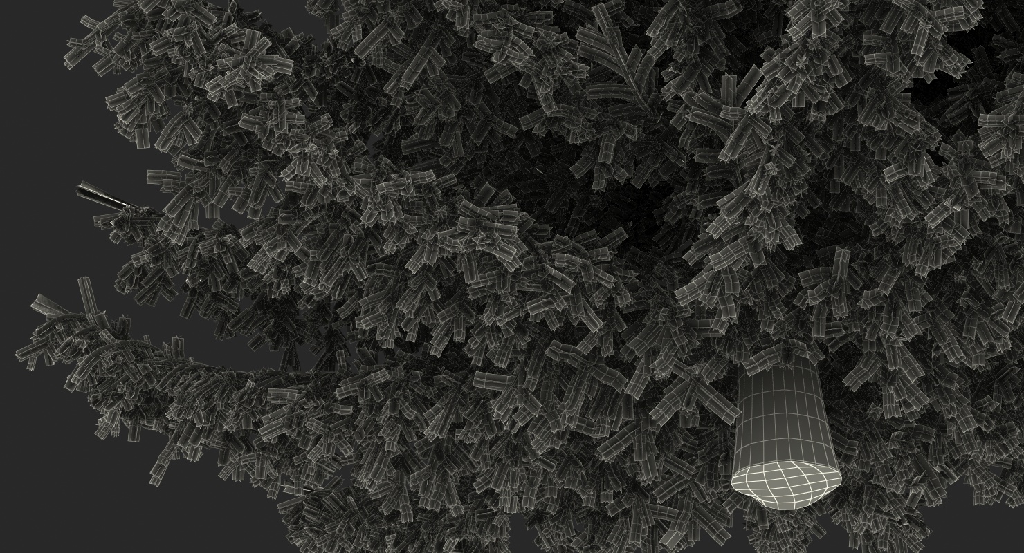 White Spruce Tree 3D