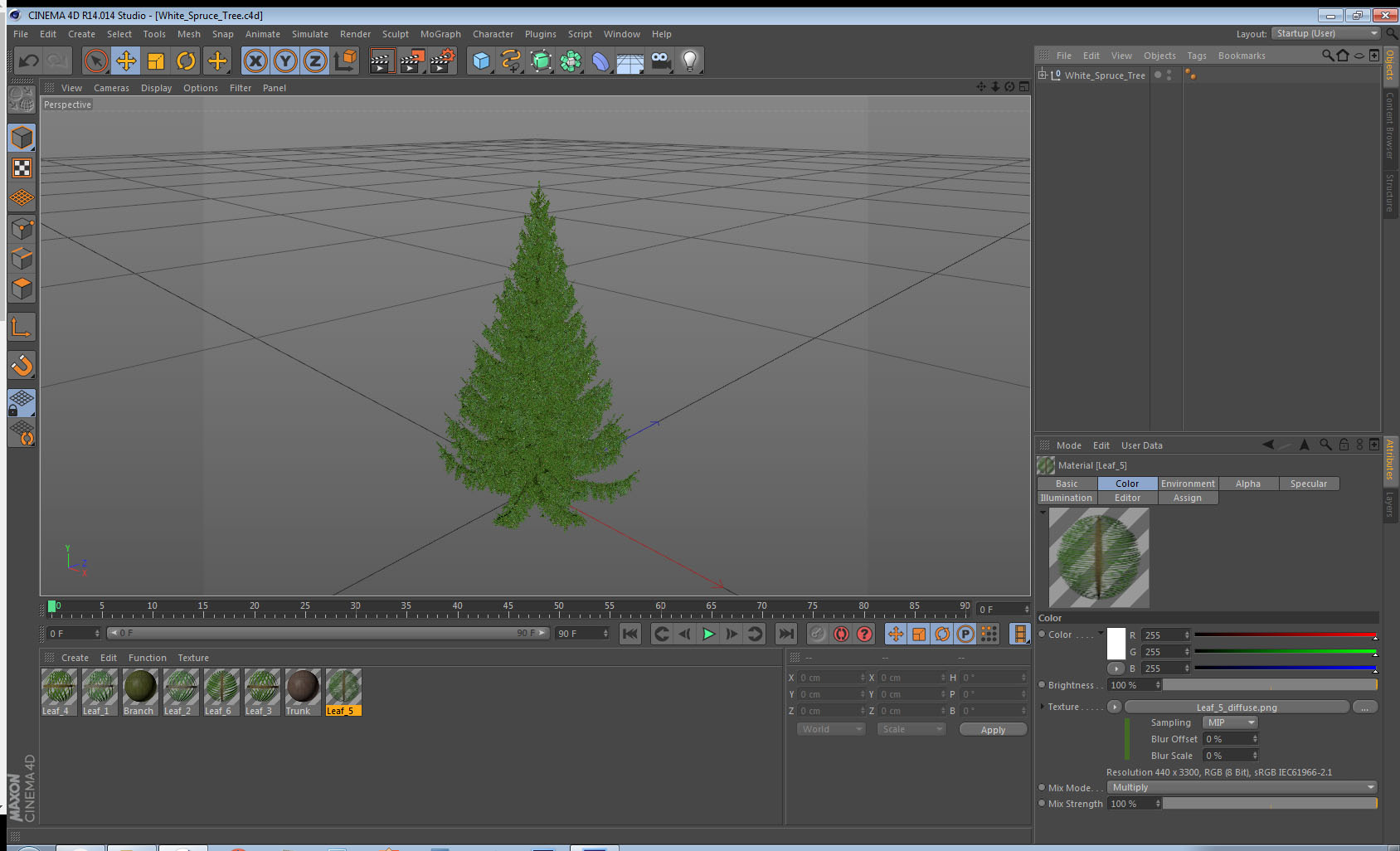 White Spruce Tree 3D