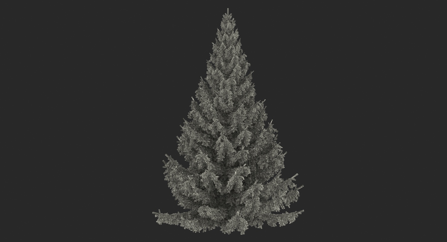 White Spruce Tree 3D