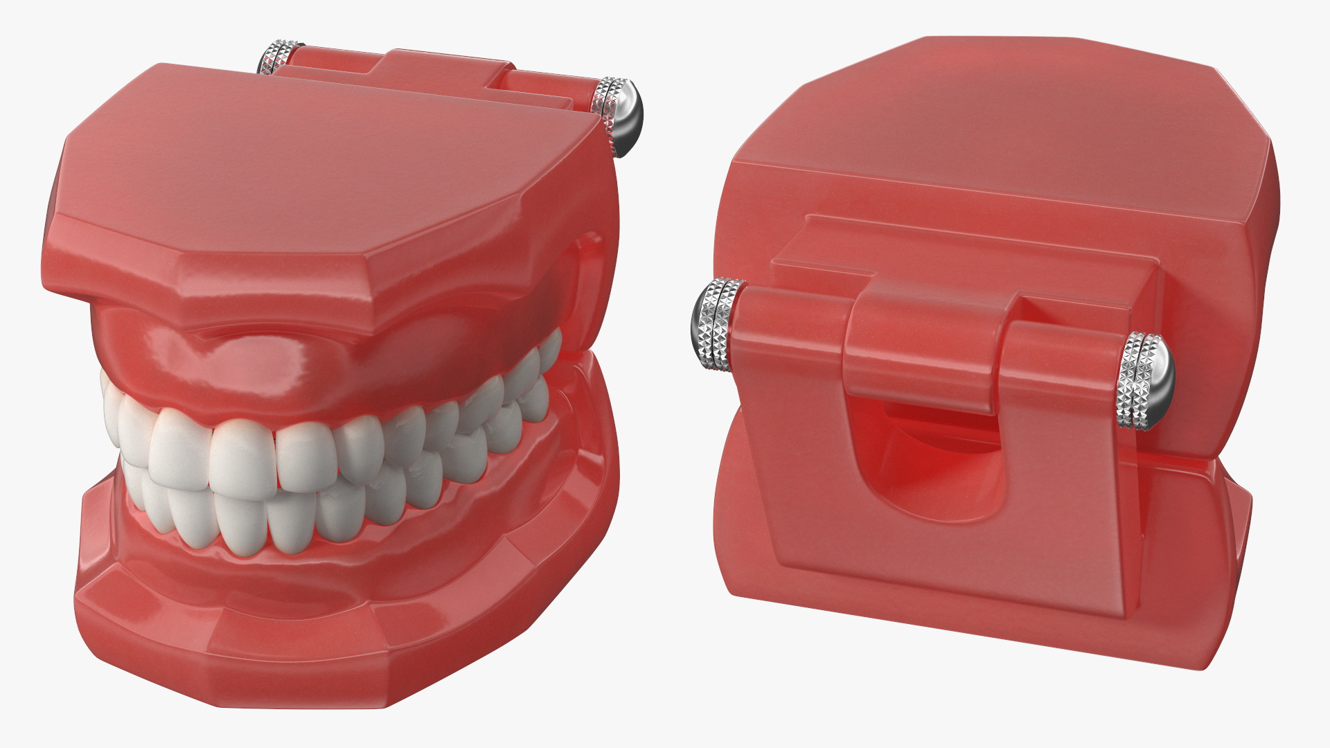 3D Lingual Braces on Typodont Teeth Model model