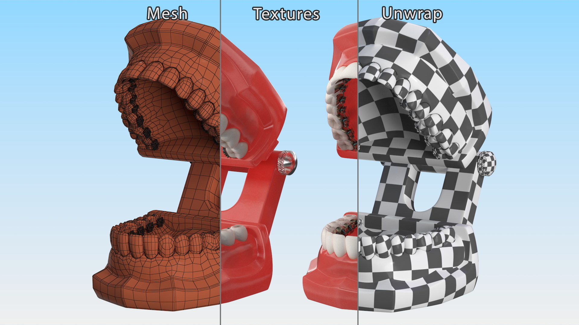 3D Lingual Braces on Typodont Teeth Model model