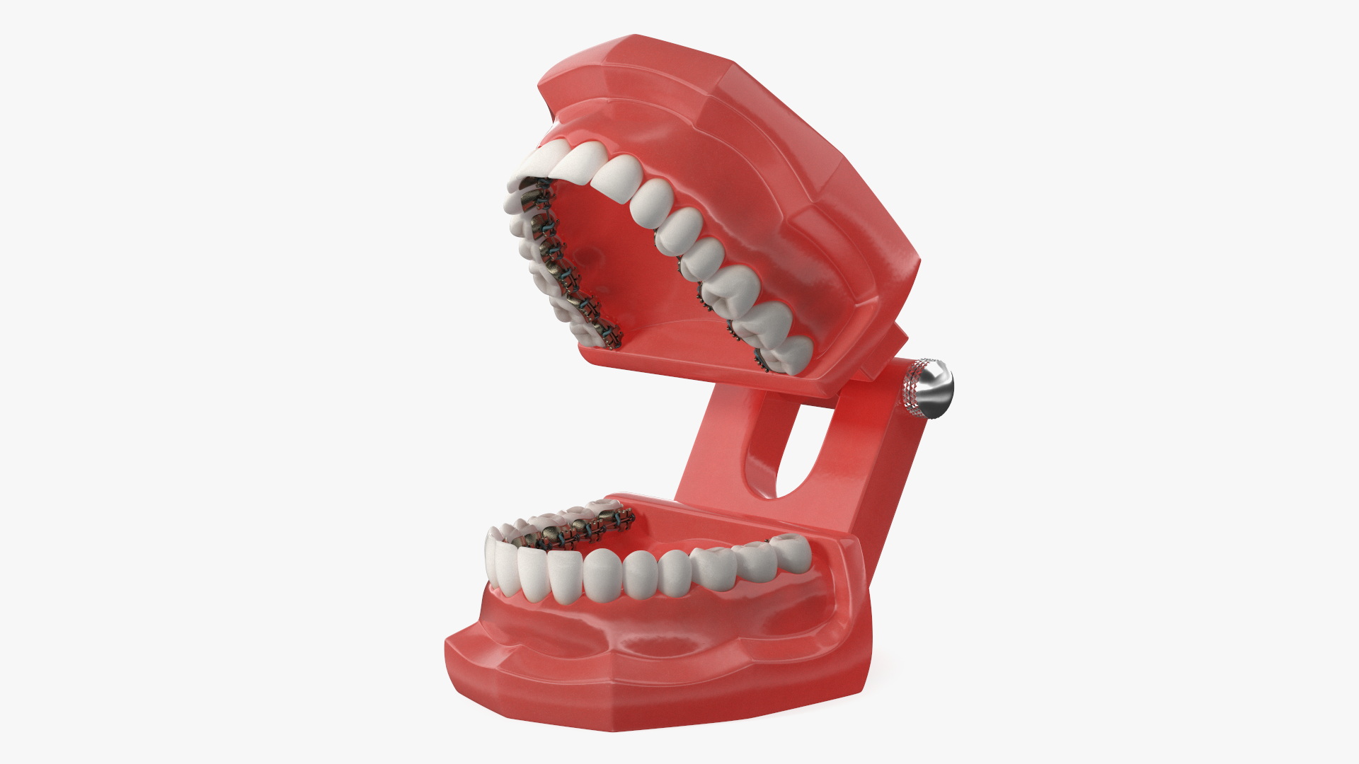 3D Lingual Braces on Typodont Teeth Model model