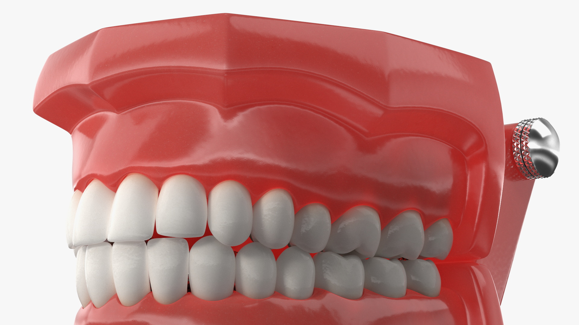 3D Lingual Braces on Typodont Teeth Model model