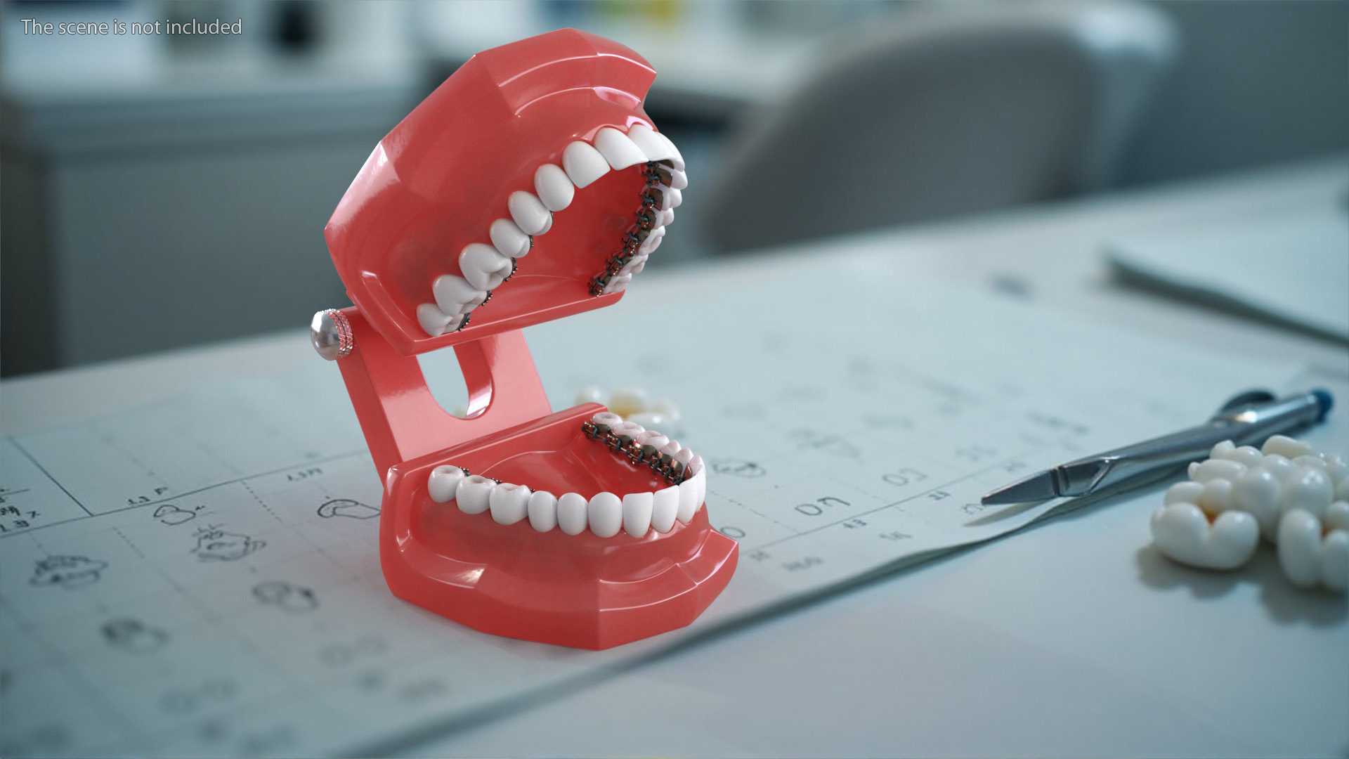 3D Lingual Braces on Typodont Teeth Model model
