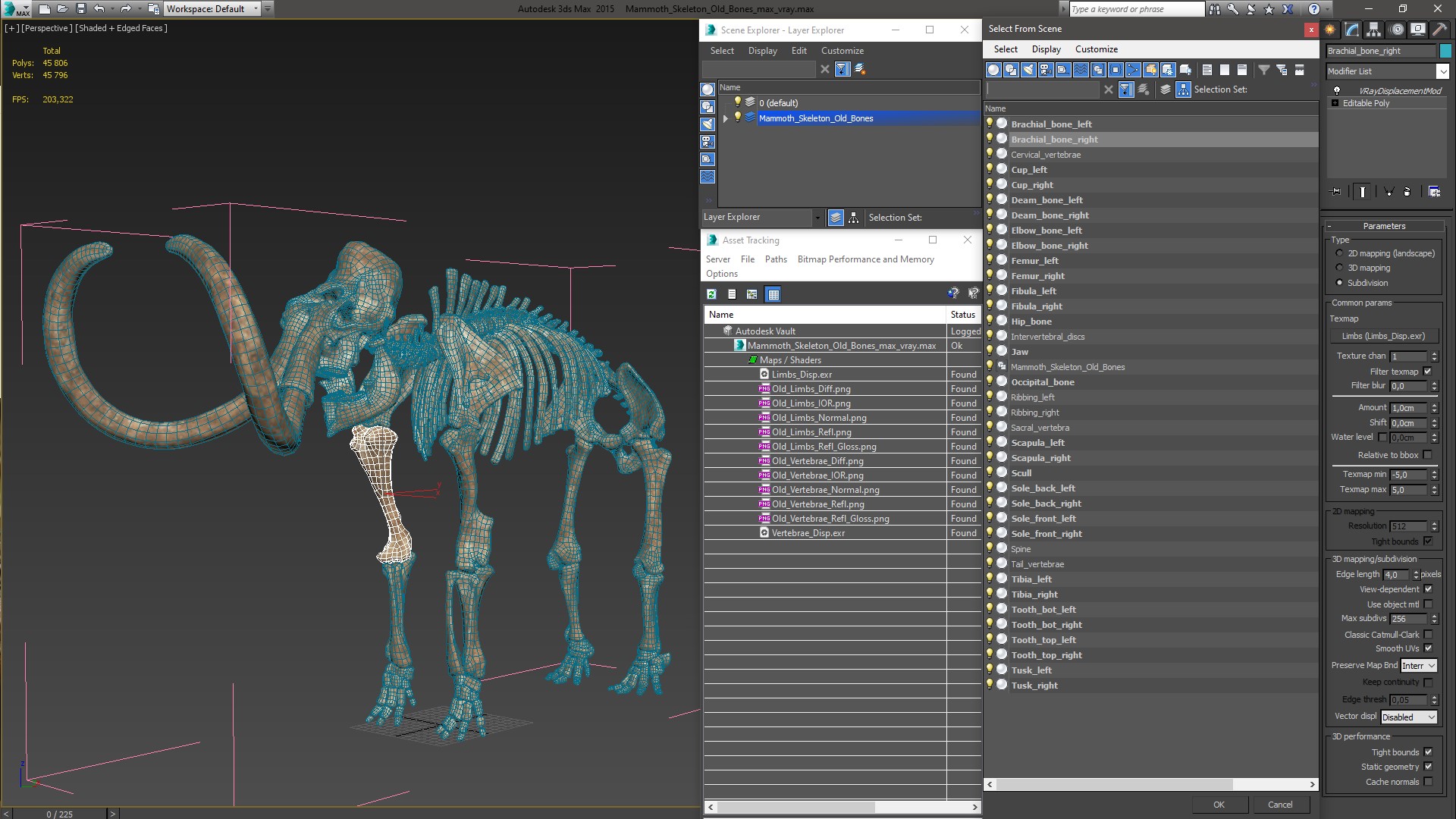3D Mammoth Skeleton Old Bones