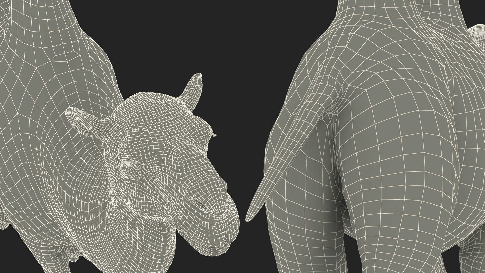 3D Bactrian Camel Walking Pose Fur